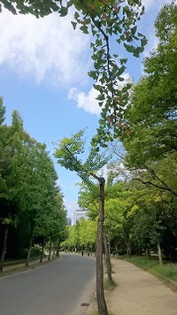 秋の気配