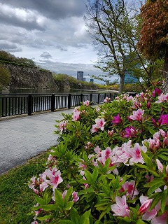 ぼっちランチ