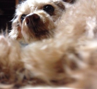 ＨａｐｐｙＢｉｒｔｈＤａｙ！！
