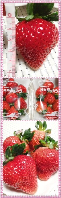美味しいいただき物