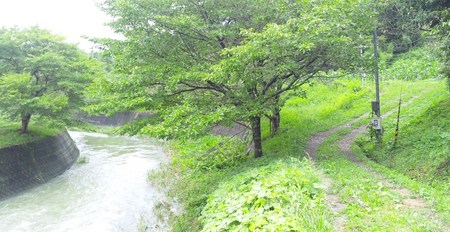 台風の足跡