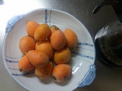 講習会から（珍しく）チョッキ！