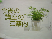 実りの秋、住まいづくりが楽しくなる季節到来♪