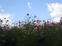 万博公園