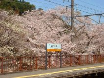 Osakas Hidden Gem: Yamanaka Valley