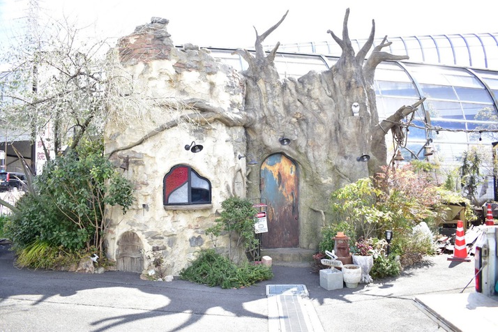 Exciting dog cafe, a different world space “Tsunagu Mori”