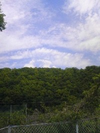 山梨県・東部