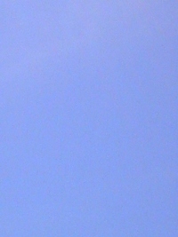 山梨県・東部