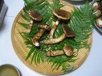 吉野産松茸