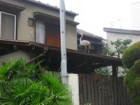 ビルの谷間に