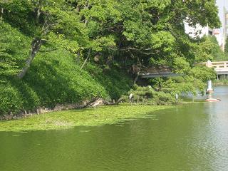 慶沢園
