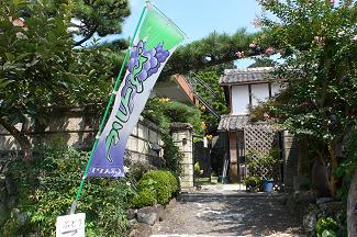 今年のブドウは甘ぁーい！