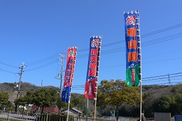 摂津峡桜だより
