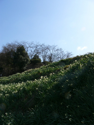 里は花盛り
