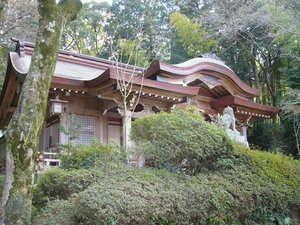 鎮守の森