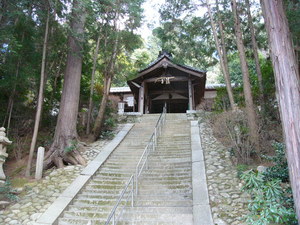 鎮守の森