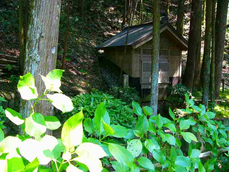 楠妣庵観音寺