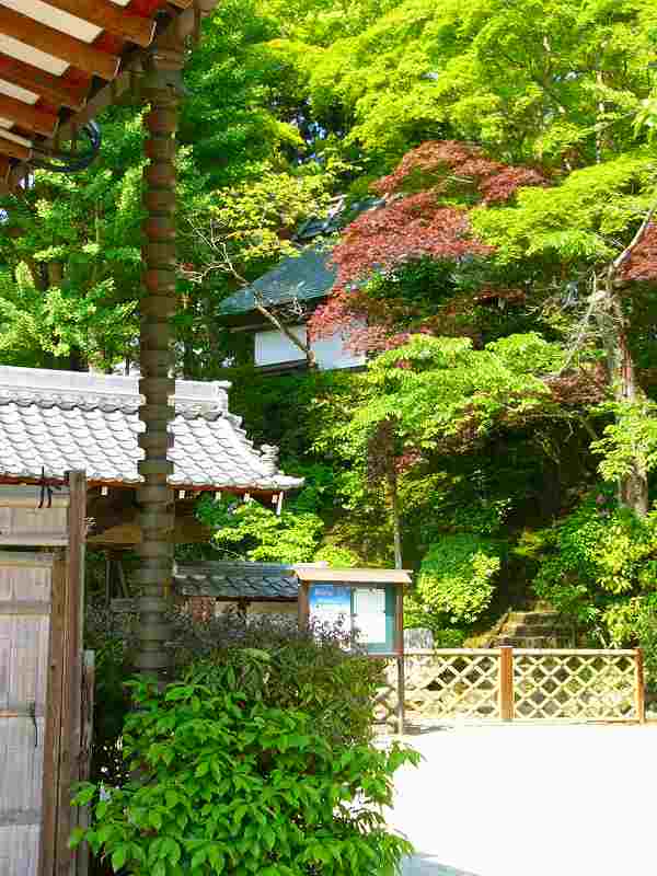 楠妣庵観音寺