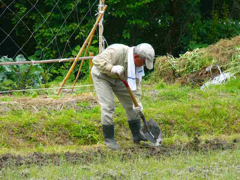 直前の田起こしー２