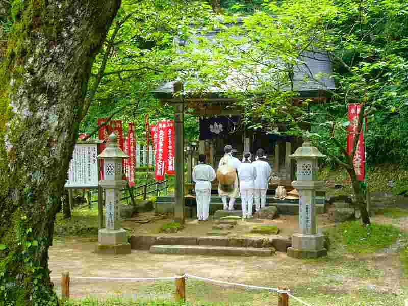れんげ祭りー１