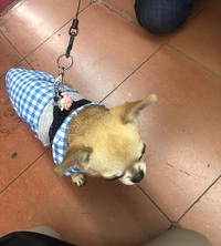 激カワ！リング！