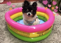 お家で縁日★