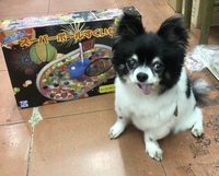僕と一緒にスーパーボールすくいしようよ！(^_-)-☆