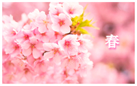 季節の和菓子