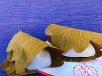 しっとりこしあん「柏餅」