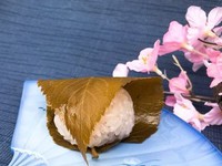 桜の季節限定「さくら餅」
