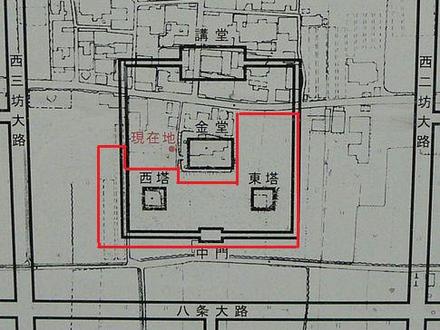 本薬師寺跡のホテイアオイ　2010