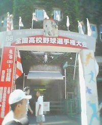 高校野球を見に来ました
