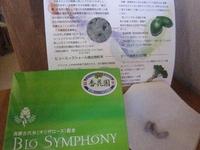 プチ断食3日目