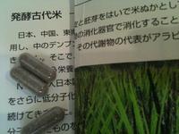 腸力ＵＰ発酵古代米