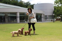 愛犬と参列した結婚披露パーティー